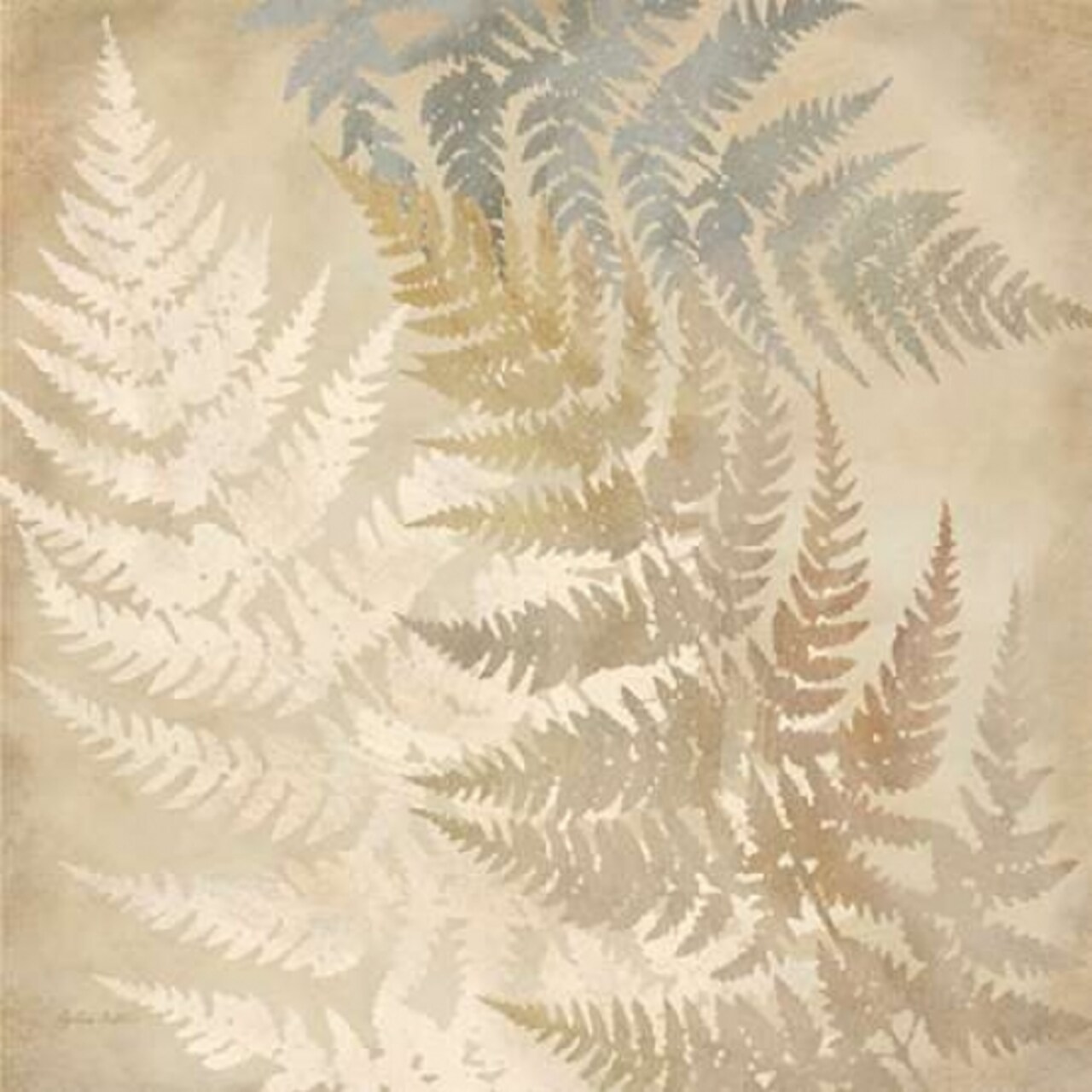 Majestic Ferns II Poster Print by Cynthia Coulter - Item # VARPDXRB10088CC